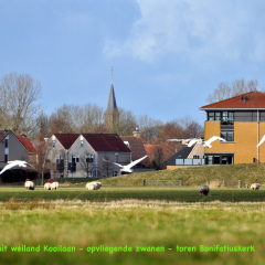 Historische fotos - 2005 - 2025