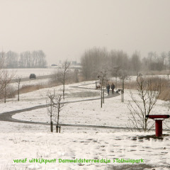 060303-IMG_3535