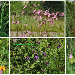 110728-120522-210627-DSC_IMG_8178-7680-2980-2590-2968-8119