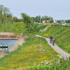 140518-DSC_5575-wijz73wijz72