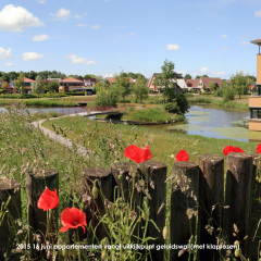 150616-appartementen-vanaf-uitkijkpunt-geluidswal-met-klaprozen