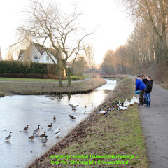 170119-IMG_4058-uitsnede