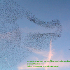 190223-IMG_2918-orig-2899