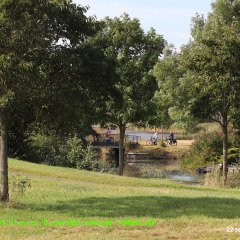 190922-IMG_2451-uitsnede