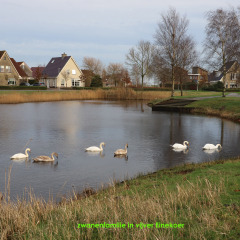 220101-IMG_5572-wijz71