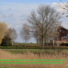 230318-IMG_5556-wijz53