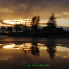 231206-IMG_1616-zwart-iets-lichter