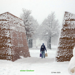 250212-IMG_4099-4100