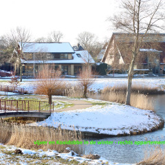 250218-IMG_4489-91-Panorama