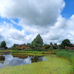IMG_20250716_124036