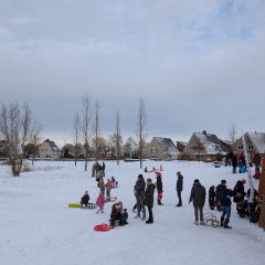 PXL_20260110_133744847