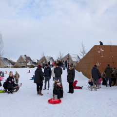 PXL_20260110_133906641