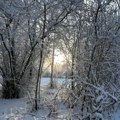 2026-01-05-at-11.43.01