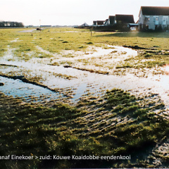 2000-12-17-Einekoer-Kouwe-Koaidobbe-eendenkooi