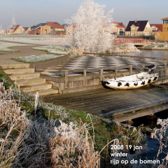 20080119-winter-rijp-op-de-bomen