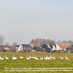 20110110-DSC_2889